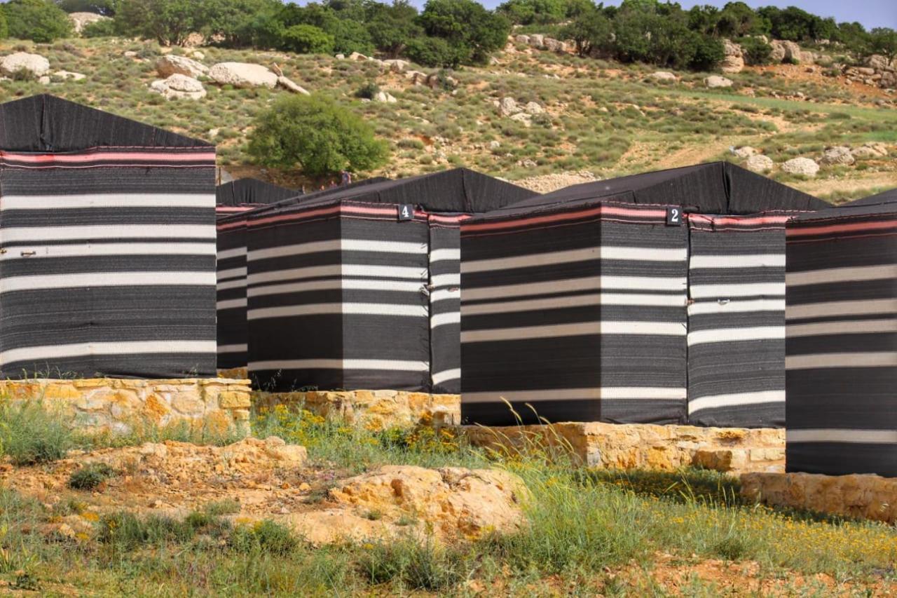 מלון דנה Ein Lahda Camp-Site מראה חיצוני תמונה