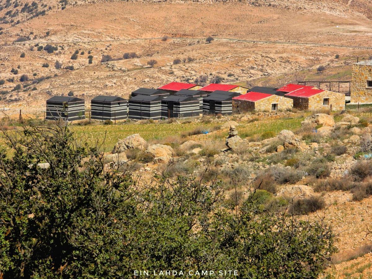 מלון דנה Ein Lahda Camp-Site מראה חיצוני תמונה